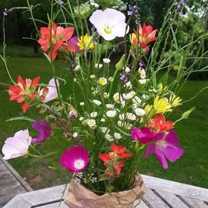 Meet your Posher, Catherine